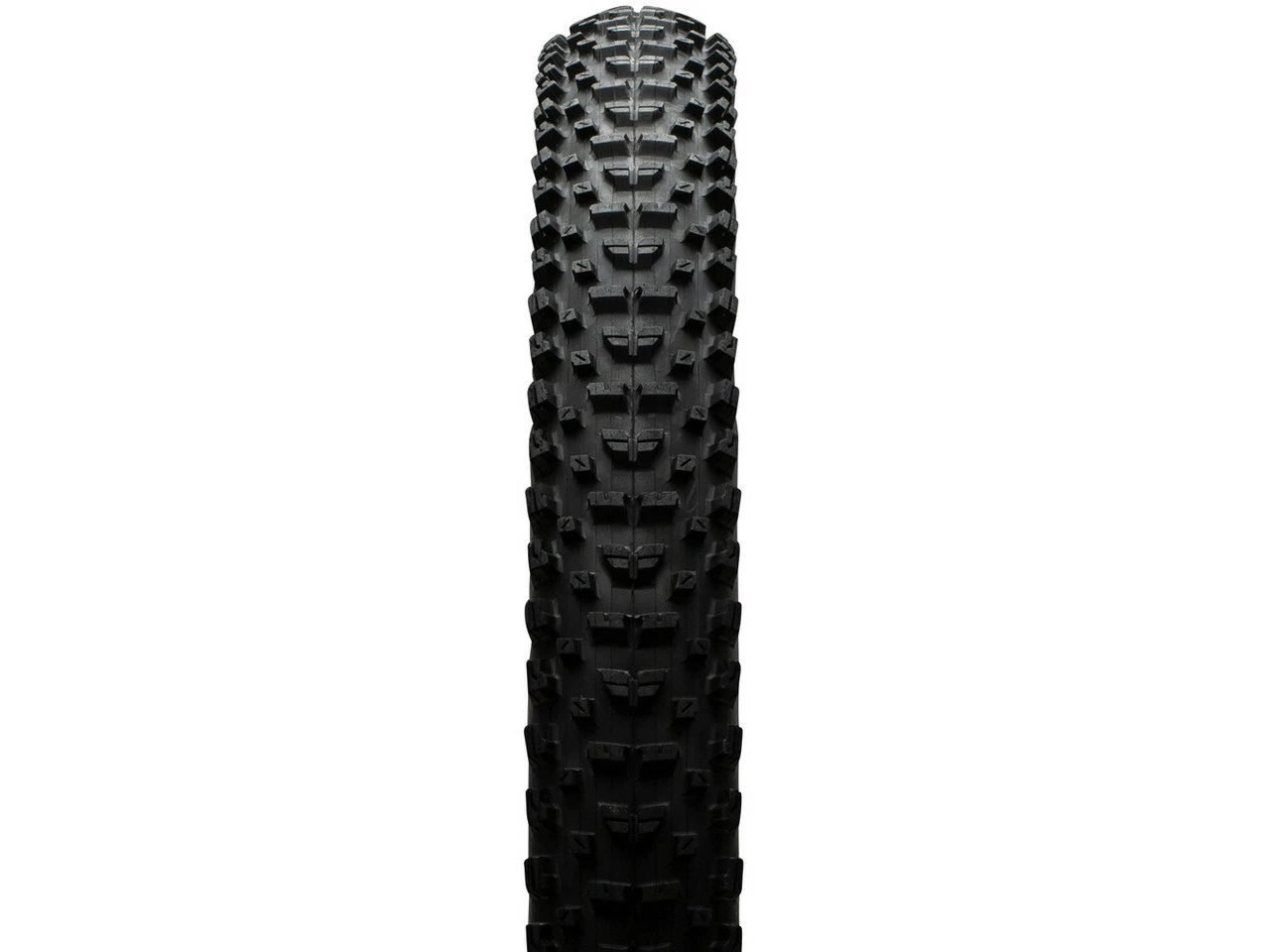 MAXXIS Rekon Dual EXO WT TR 29" Faltreifen 6 MAXXIS Rekon Dual EXO WT TR 29" Faltreifen – Bild 4