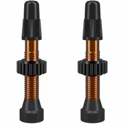 Wtb TCS Aluminium Presta Tubelessventil