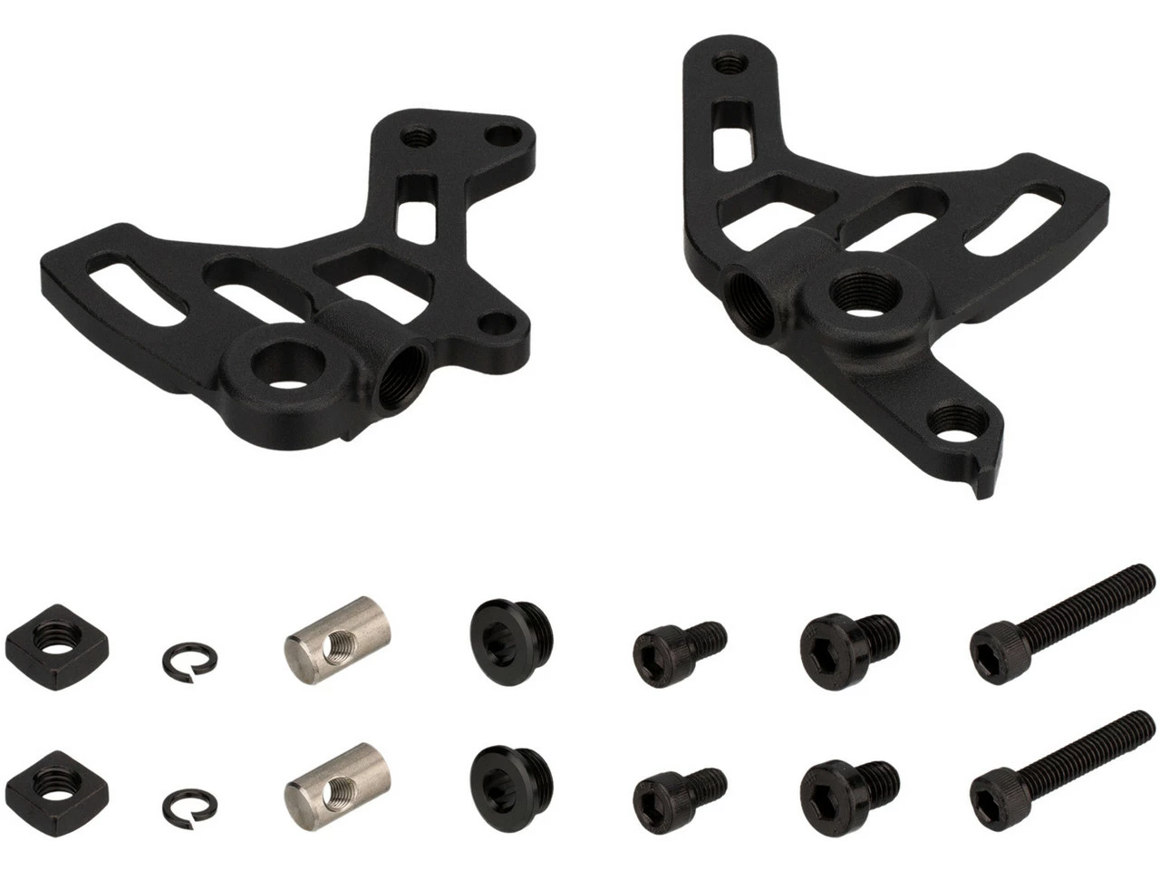 Santa Cruz Schaltauge Für Chameleon 4 Santa Cruz Schaltauge Für Chameleon – Bild 2