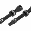 CUSHCORE Tubeless Ventil 44 Mm 2er-Set 2 CUSHCORE Tubeless Ventil 44 Mm 2er-Set -Jagdraht Verkaufsladen 425146