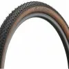Continental Race King ProTection 29" Faltreifen - Bernstein Edition -Jagdraht Verkaufsladen 430135