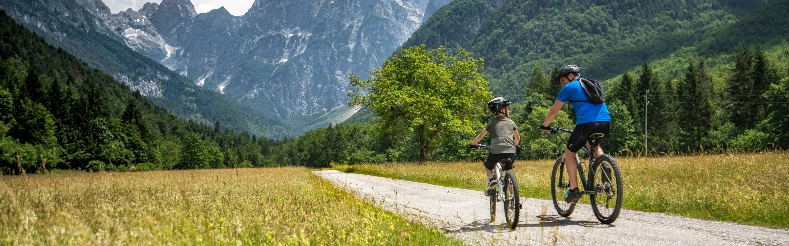 Jagdraht Verkaufsladen -Jagdraht Verkaufsladen AgAAAB0AfeHMwYqANzuCffnf0YjF6g 1 scaled